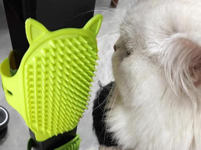 Pet Scratcher Tool