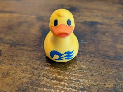 Princess Cruise Duck - AMS - Multiple Sizes