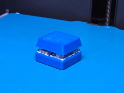 EXTRA Large Clicker Fidget Toy