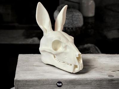 The Bone Hare – Ambassador of Twilight
