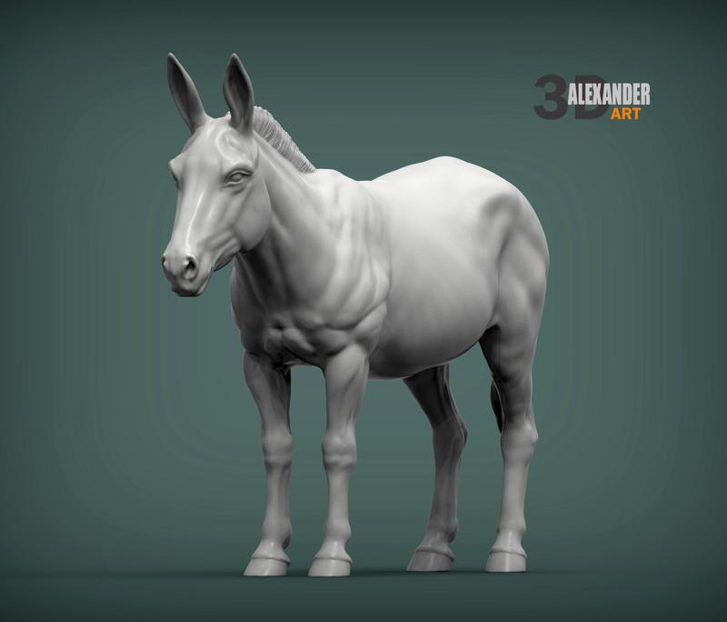 Donkey