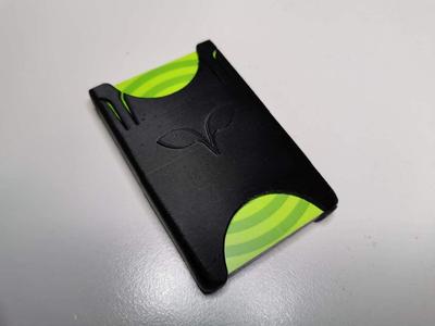 Credit card wallet for ten (10) cards