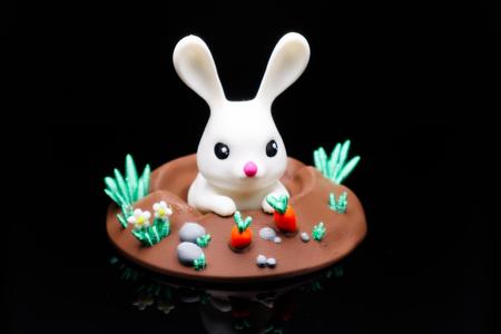 Bunny Burrow