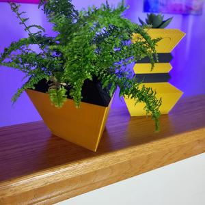 Vase Vertex - Short Version