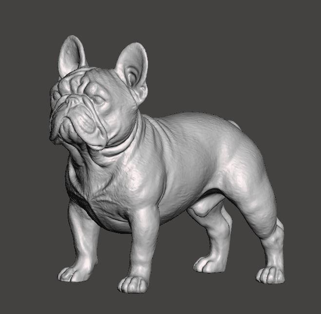 French Bulldog 3D Model