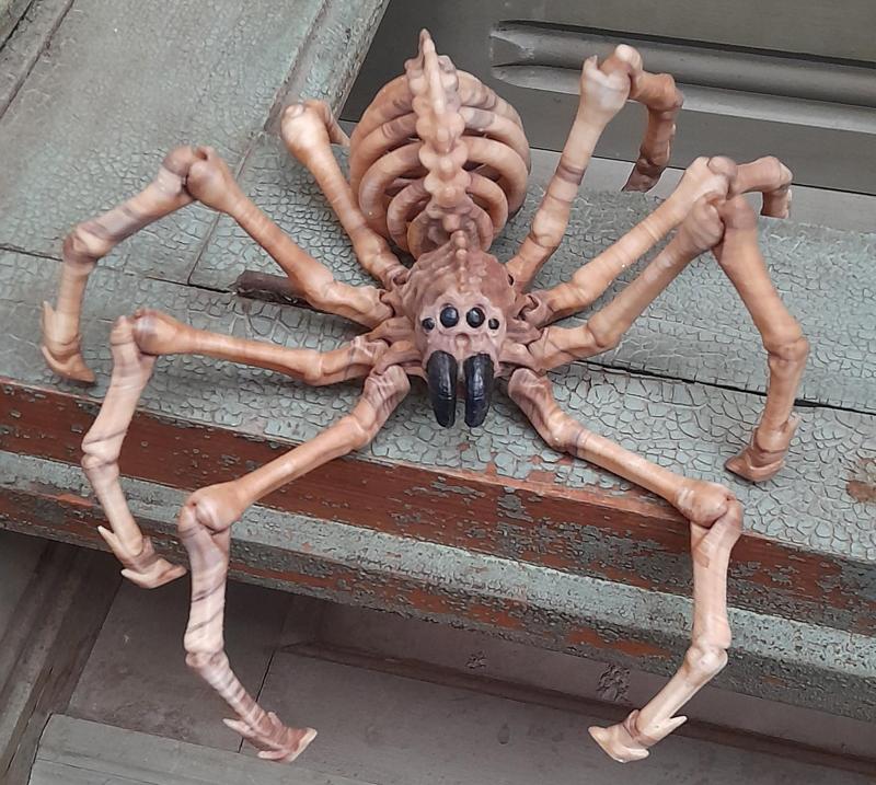 LEONARDZ3D - FLEXI PRINT-IN- PLACE SKELETON SPIDER - HALLOWEEN