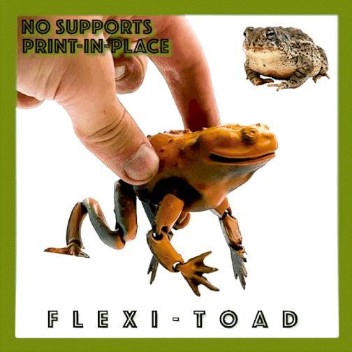 Flexi Toad Frog articulated print-in-place no supports