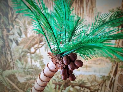 Flexi Coconut Tree