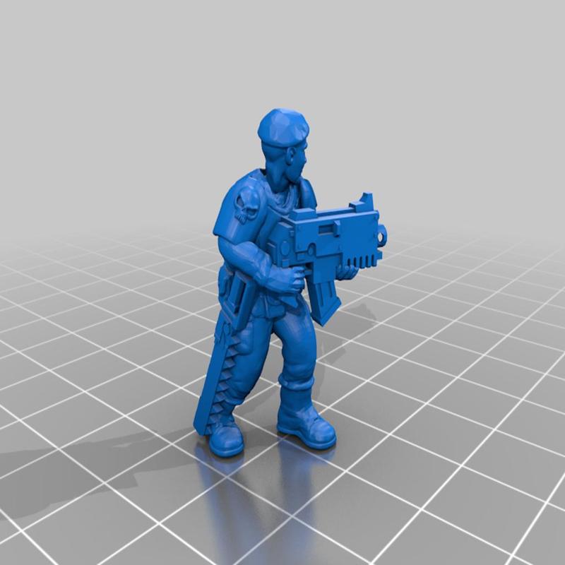 Soldiers of the imperium - veterans