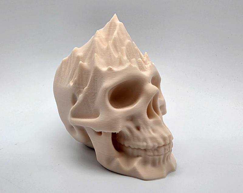 Mountains on my Mind Skull