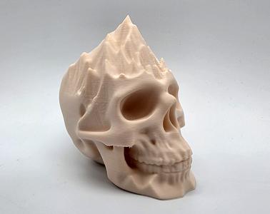 Mountains on my Mind Skull