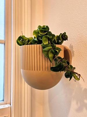 Modern Bowl Design Wall Planter