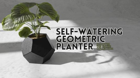 Self Watering Geometric Planter
