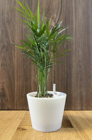 Selfwatering Planter - inner pot for Twisted Pot
