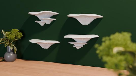 Mushroom Shelves easy installation