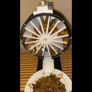 Automated Pet Feeder