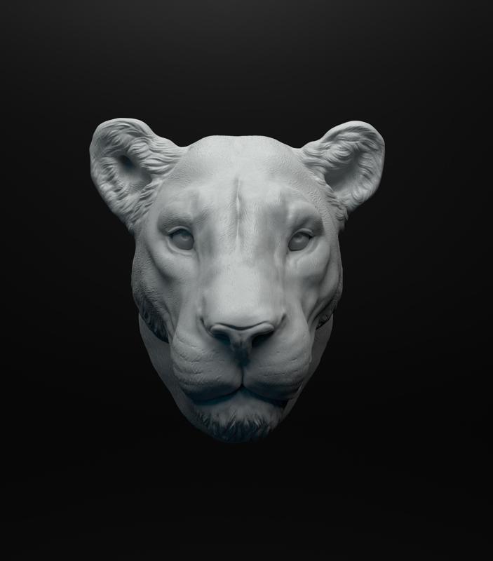 Lioness head