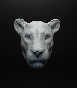 Lioness head