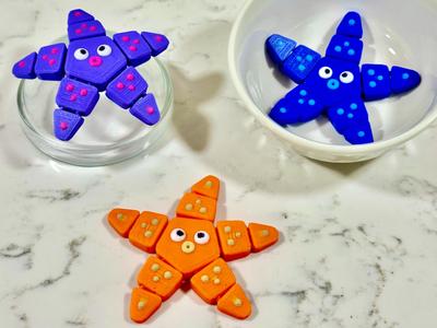 Articulated Starfish - Funny Flexi Star - cute
