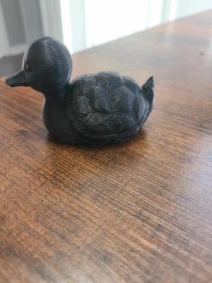 Duck turtle