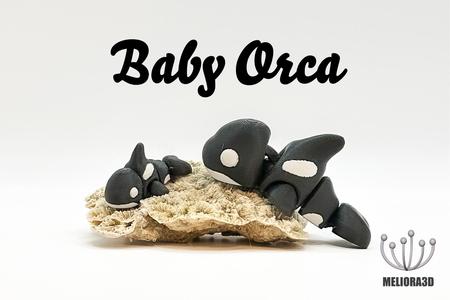 M3D - Baby Orca
