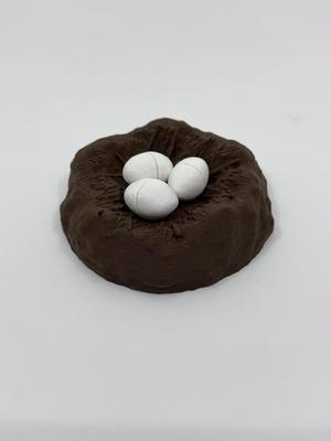 Dinosaur Nest