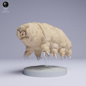 Tardigrade (Water Bear)