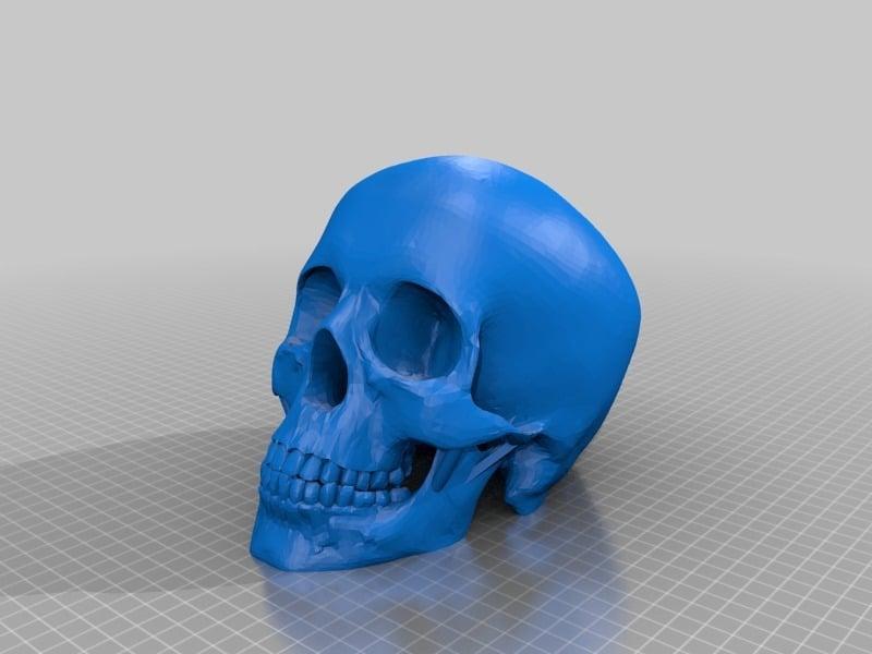 Human Skull Solid No Supports Needed Renforced Mandibl/teeth