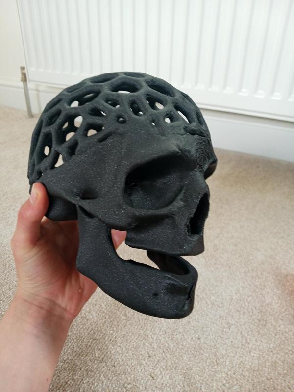 Voronoi skull