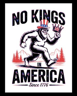 Say it with a Sign - No Kings in America Since 1776