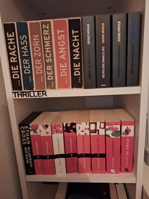 Bookshelf Marker Decoration Genre/Author