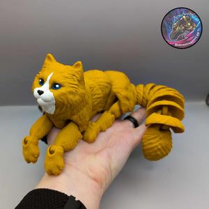 flexi long haired cat