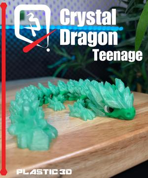 Teen Articulated Crystal Dragon