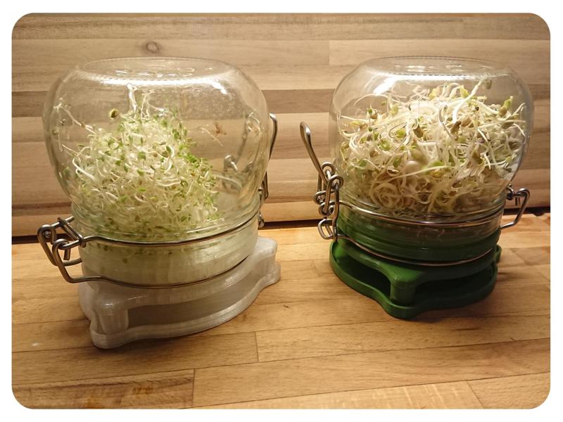 Sprouting Jar - IKEA KORKEN