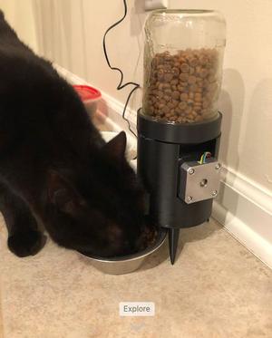 Automatic Pet Feeder