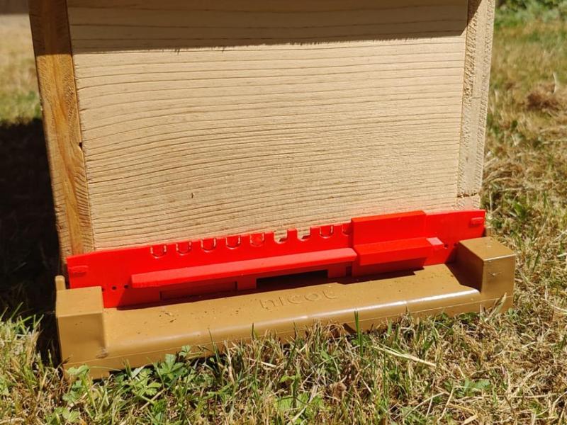 Nicot 1/2 Entrance Reducer