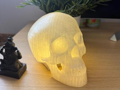 Skull Lamp