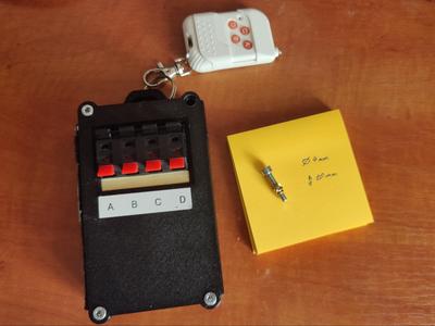 Detonator protective case