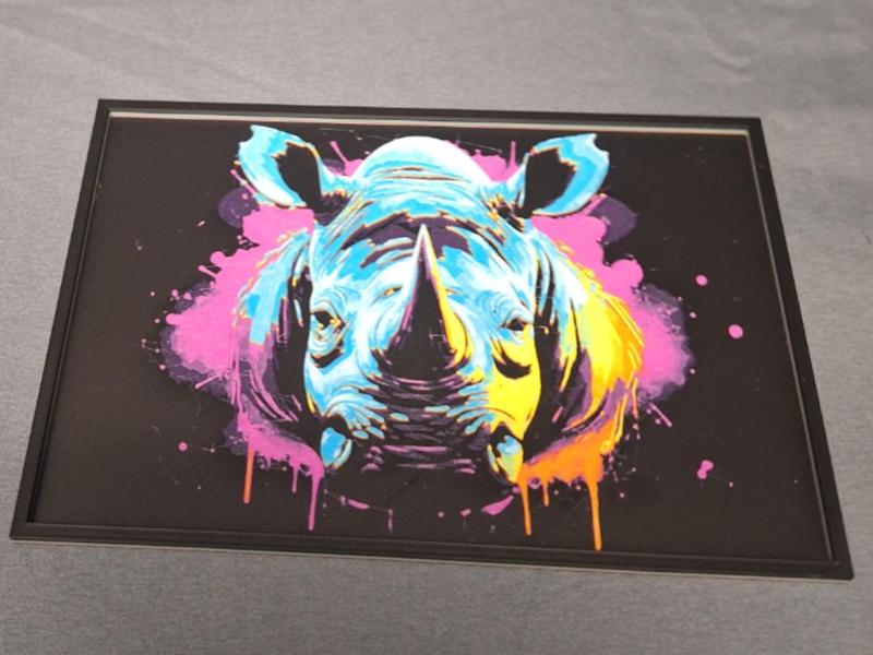 Colorful Rhino