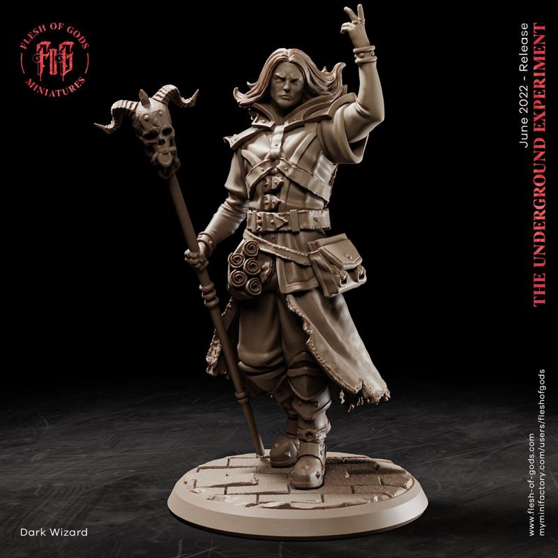 The Dark Wizard