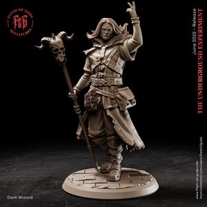 The Dark Wizard