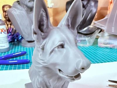 German Shepherd (GSD) bust 