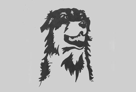 Australian Shepherd Dog