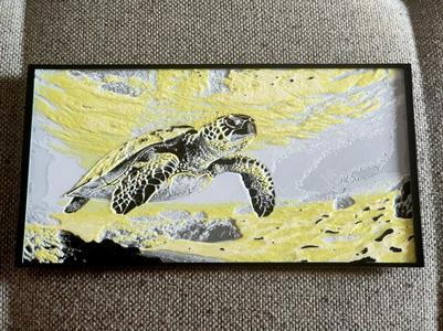 Sea turtle
