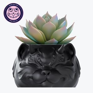 Mystic Cat Pot - 3D Printable Model