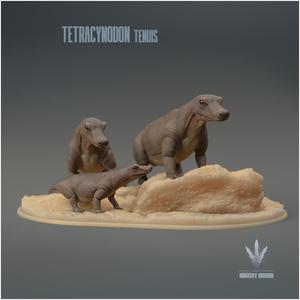 Tetracynodon tenuis : Family Group