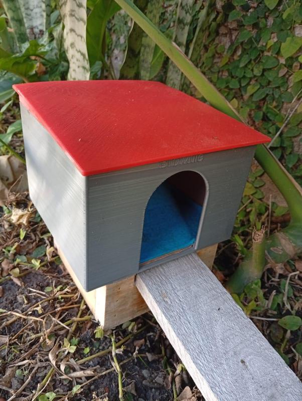 Guinea Pig House