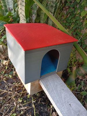 Guinea Pig House