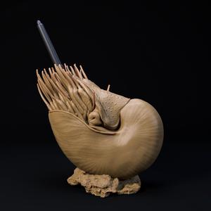 Nautilus pen holder pre-supported
