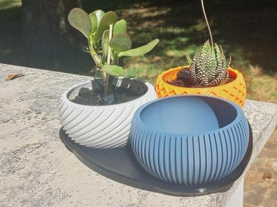 Planter pot vase collection - commercial version